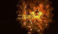 二胡调音器